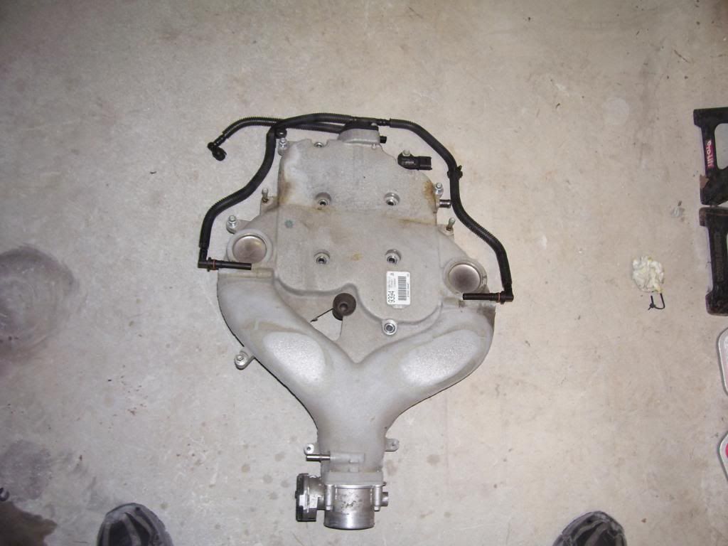 Holden VZ VE 3.6L V6 Timing Chain Install Kit Procedure DIY Revhigh